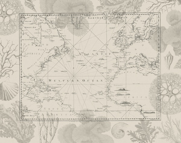 Vintage Journey Map With Corals Beige