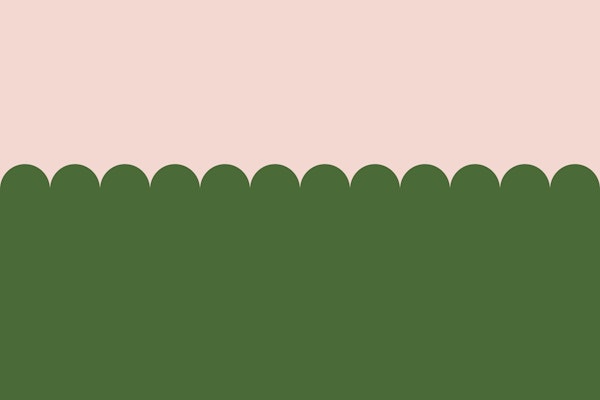Pink and Green Two-Toned Scallop