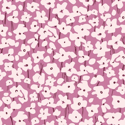 Modello
