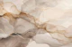 Inky Transparency Abstract Flow Beige Brown