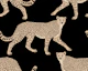 Walking Cheetah on Black
