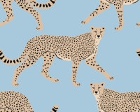 Walking Cheetah on Dark Steel Blue tapete