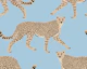 Walking Cheetah on Dark Steel Blue