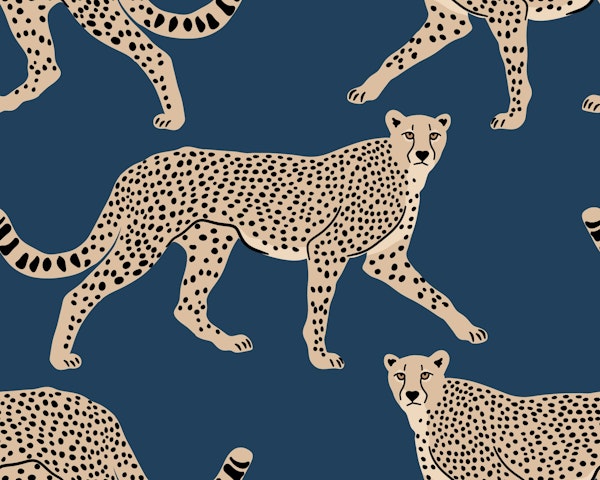 Walking Cheetah on Indigo