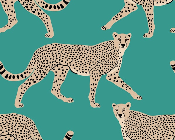 Walking Cheetah on Teal