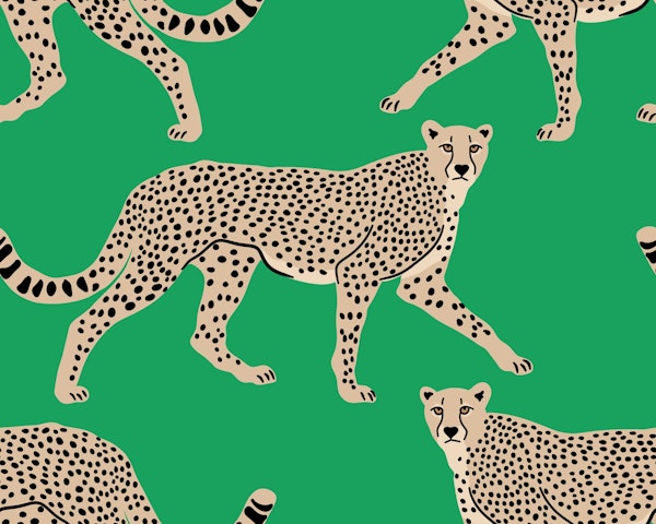 Walking Cheetah on Green