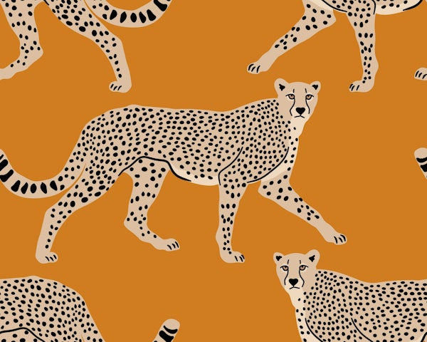 Walking Cheetah on Ochre