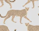 Walking Cheetah on Light Grey