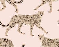 Walking Cheetah on Misty Rose tapete