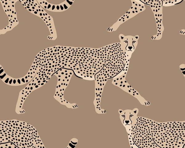 Walking Cheetah on Beaver Brown