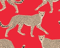Walking Cheetah on Imperial Red behang