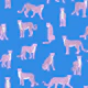 Pink Cheetah on Bleu de France
