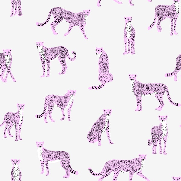 Pink Cheetah on White Smoke