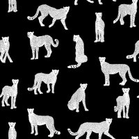 White Cheetah on Black carta da parati