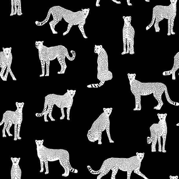 White Cheetah on Black