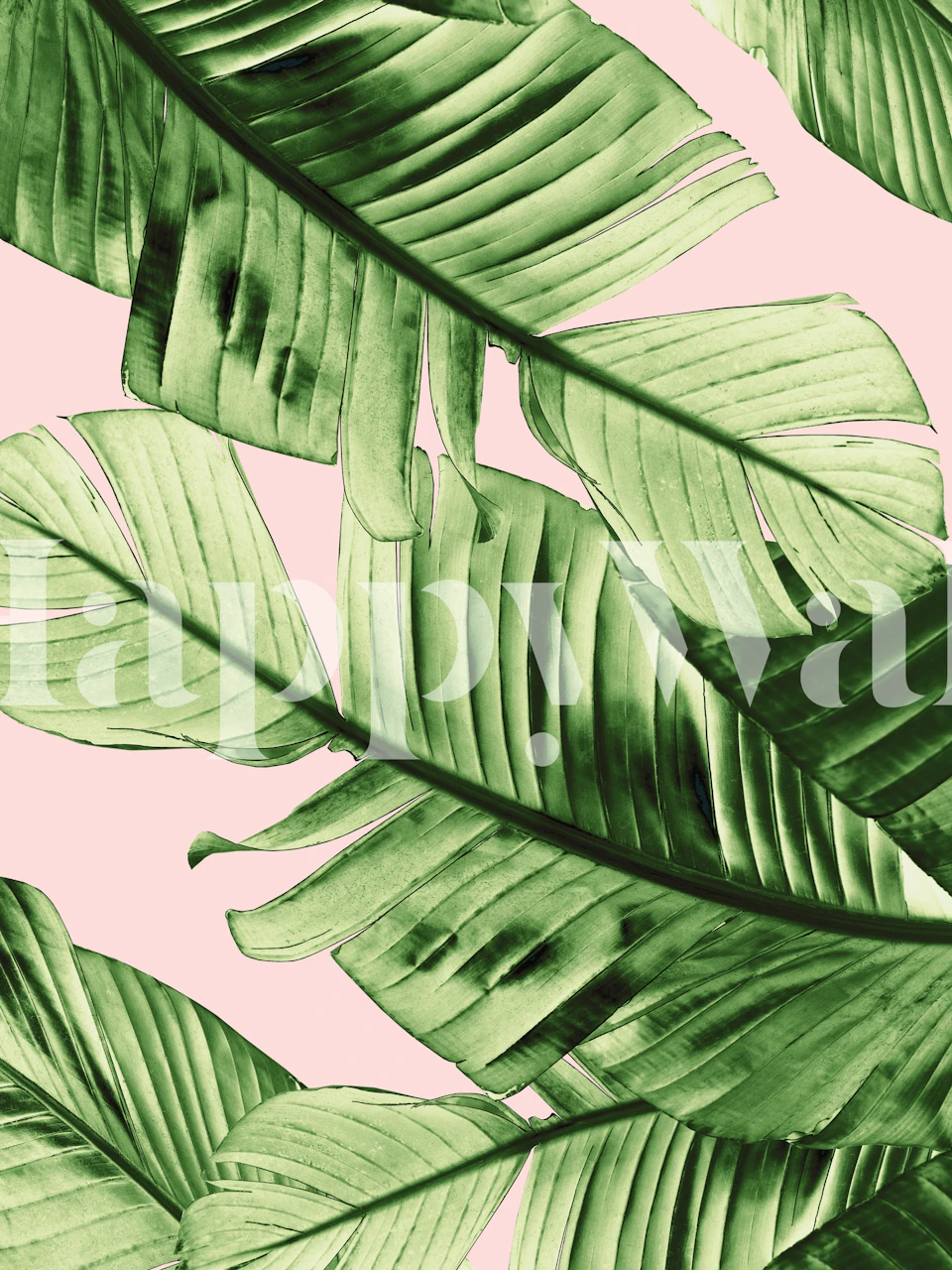 Blush Banana Leaves wallpaper in a room