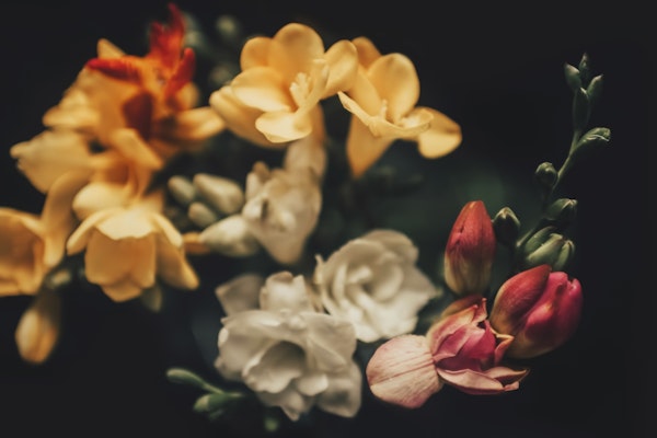 Flowers Colorful Bouquet