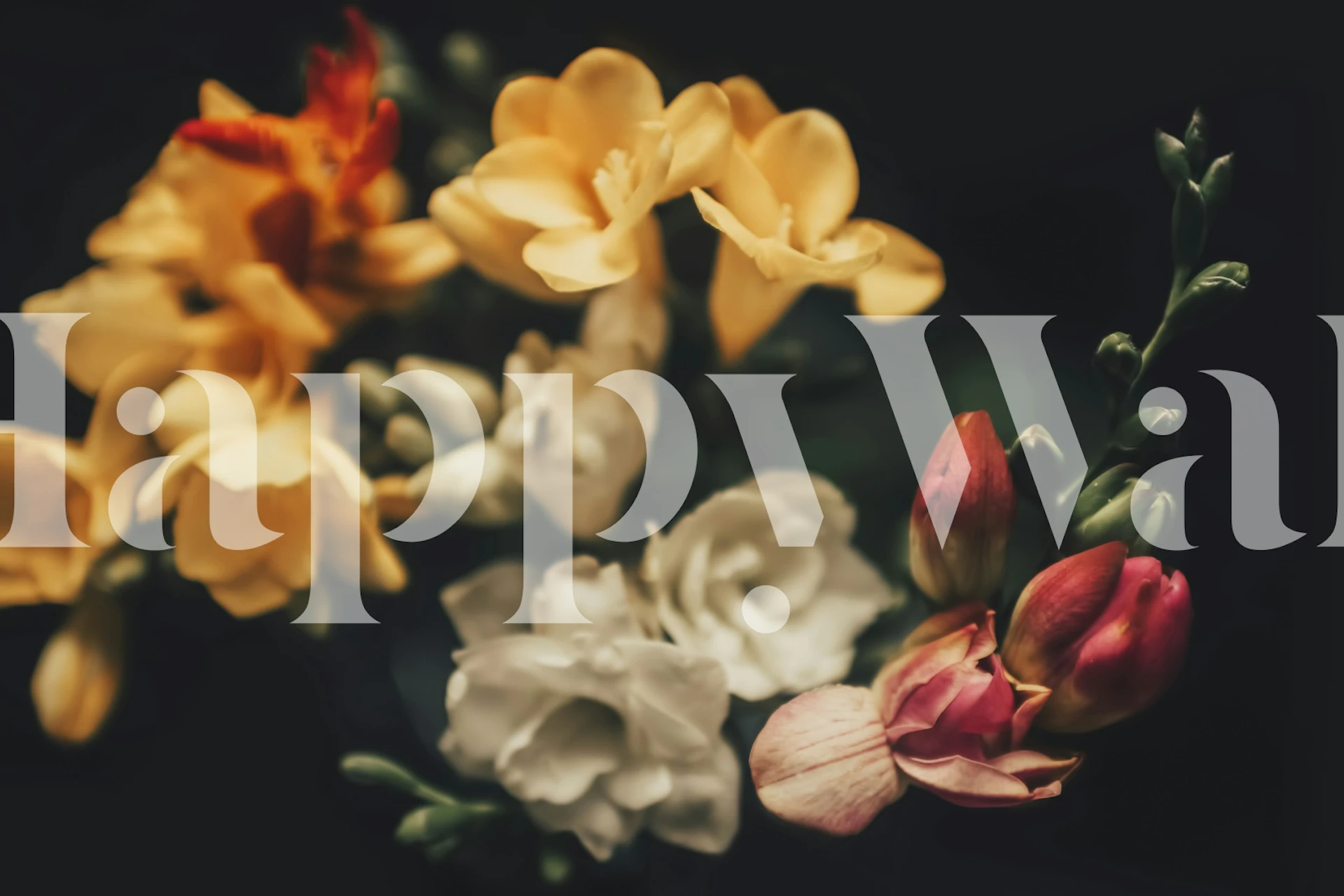 Colorful flowers in yellow, white, and pink shades wallpaper