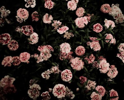 Τοιχογραφία