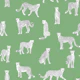 White Cheetah on Asparagus Green