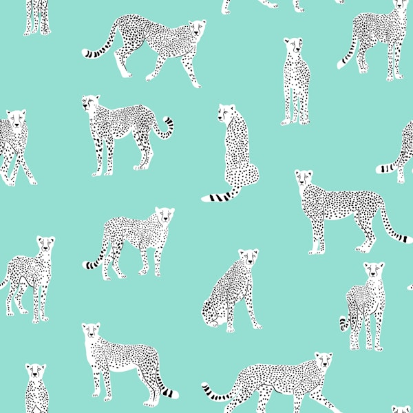 White Cheetah on Pale Robin Egg Blue