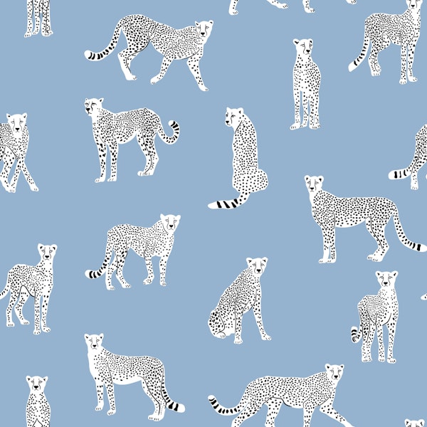 White Cheetah on Powder Blue
