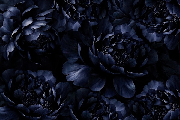 Gothic Baroque Dark Midnight Peonies