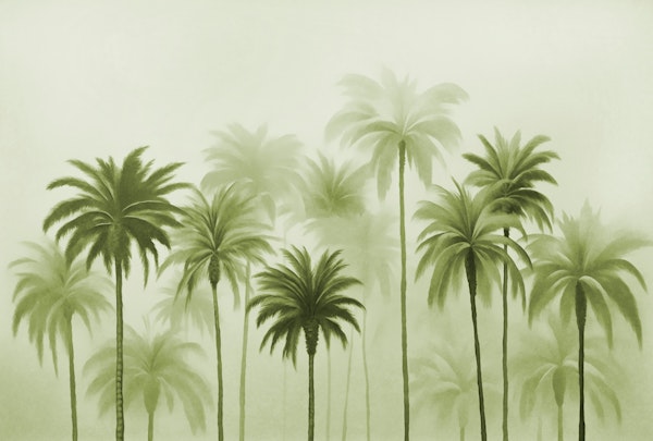 Lush Green Palm cove