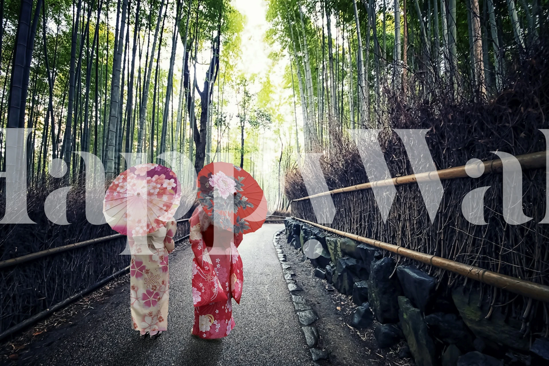 Two women in kimonos with umbrellas walking along a bamboo path wallpaper