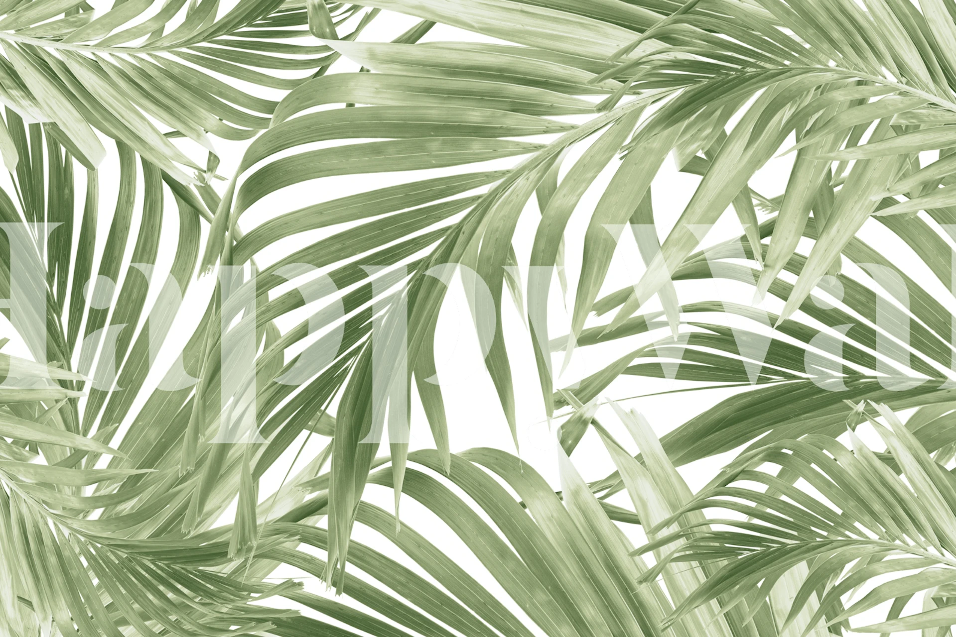 Lush Caribbean palm tapet i et rum