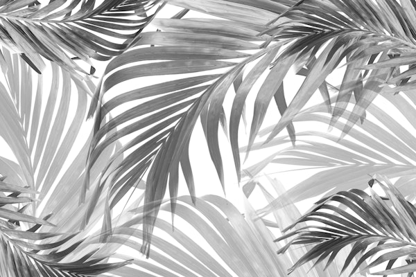 Lush Caribbean Palm Collage 2