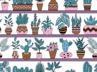 Shelves with Vase Plants 1 wallpaper