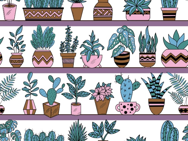 Shelves with Vase Plants 1