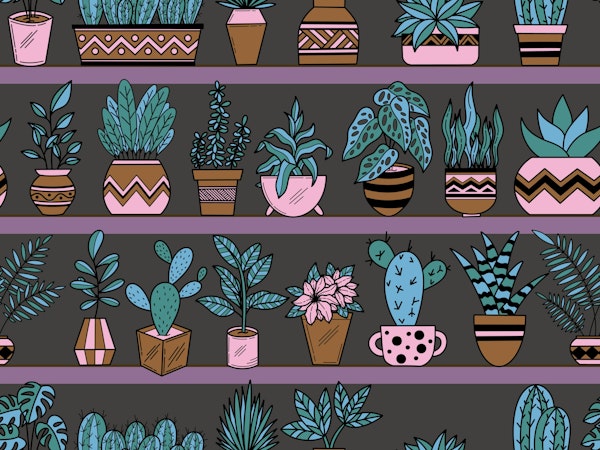 Shelves with Vase Plants 2