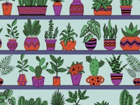 Shelves with Vase Plants 3 wallpaper