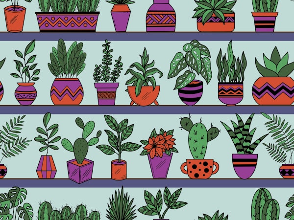 Shelves with Vase Plants 3