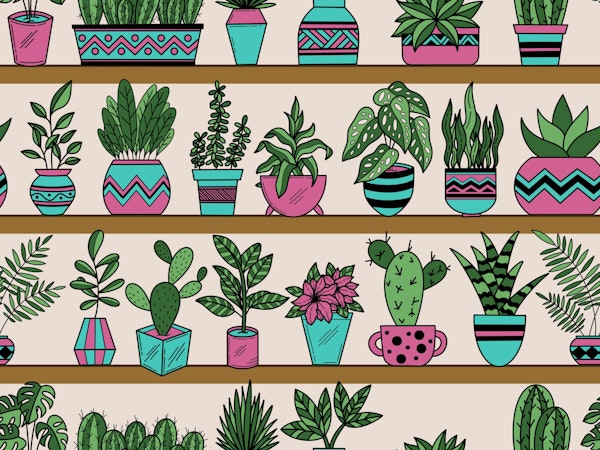 Shelves with Vase Plants 4