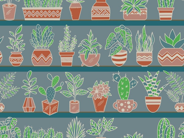 Shelves with Vase Plants 5