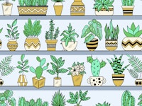 Shelves with Vase Plants 6 wallpaper