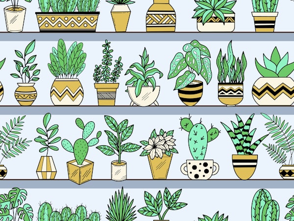 Shelves with Vase Plants 6