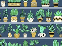Shelves with Vase Plants 7 wallpaper