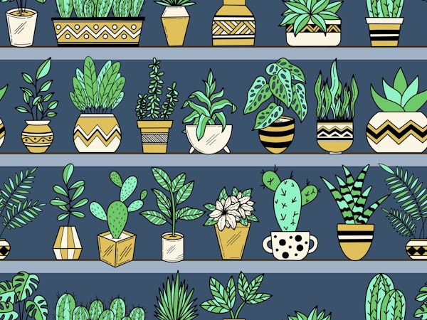 Shelves with Vase Plants 7