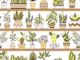 Shelves with Vase Plants 8
