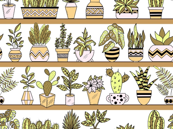 Shelves with Vase Plants 8