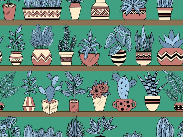 Shelves with Vase Plants 9