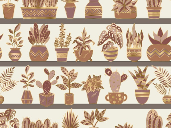 Shelves with Vase Plants 10