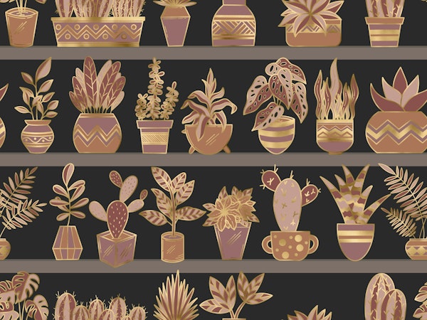 Shelves with Vase Plants 11