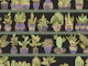 Shelves with Vase Plants 12