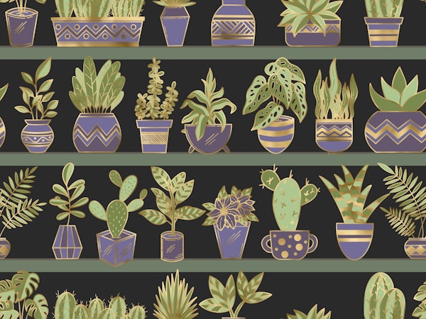 Shelves with Vase Plants 12