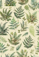 Woodland Forest Ferns Green Beige carta da parati